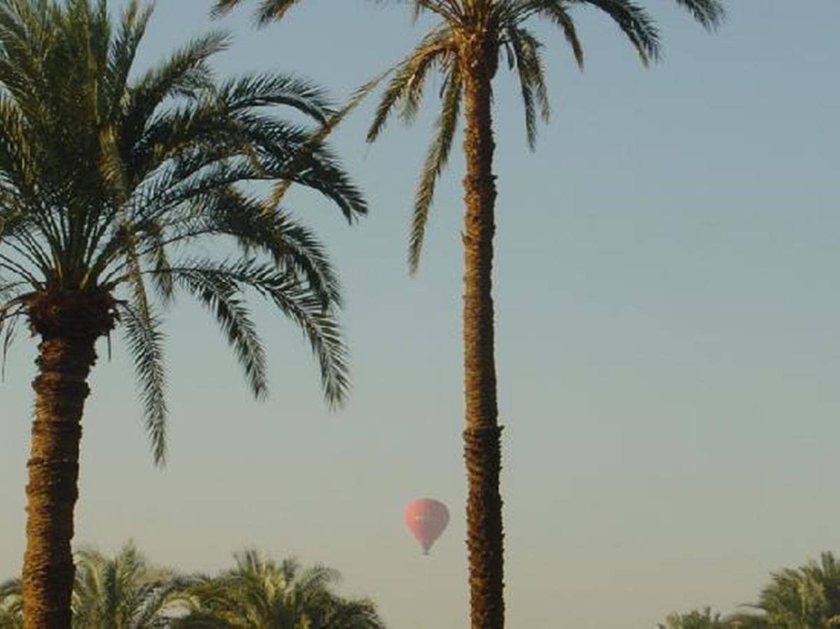 El Nakhil Hotel ลักซอร์ ภายนอก รูปภาพ