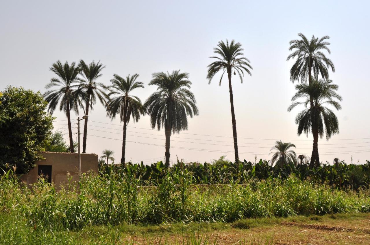 El Nakhil Hotel ลักซอร์ ภายนอก รูปภาพ