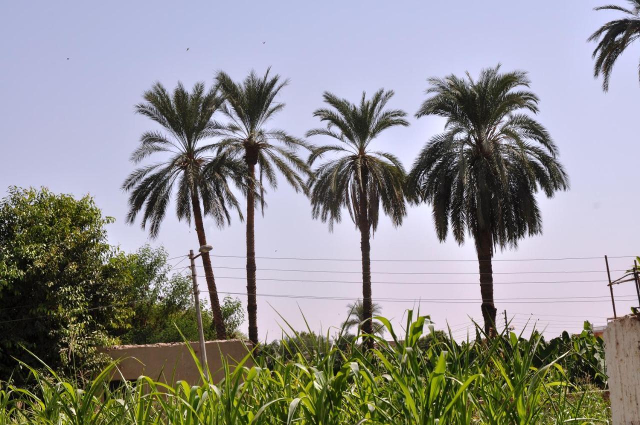 El Nakhil Hotel ลักซอร์ ภายนอก รูปภาพ