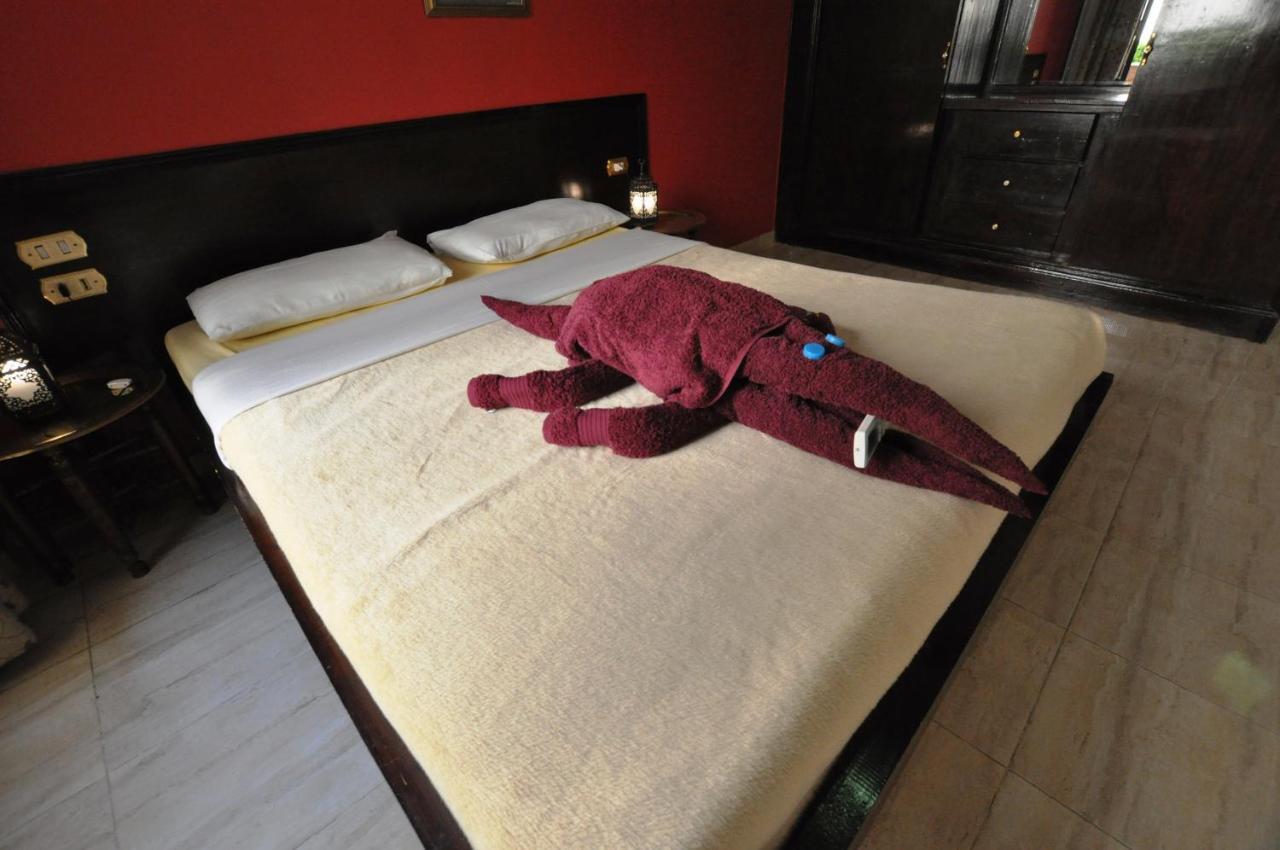 El Nakhil Hotel ลักซอร์ ภายนอก รูปภาพ